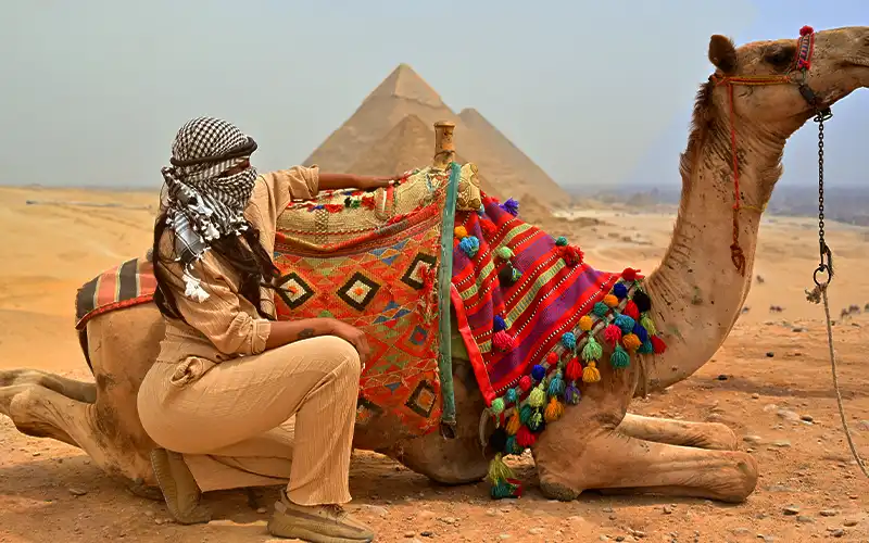 Sunrise Camel Ride, Pyramids Private Tour & Local Breakfast.